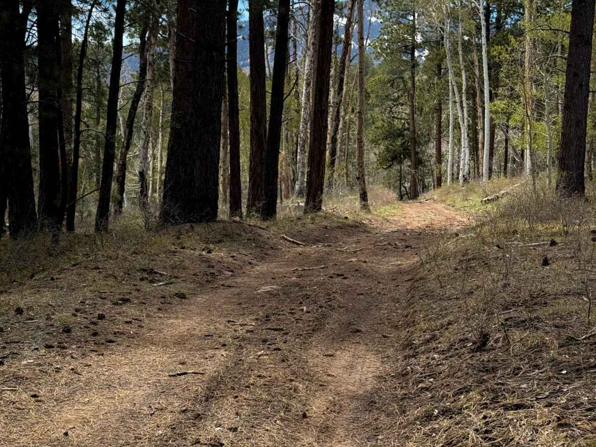 Trail 16 Loop  photo 4
