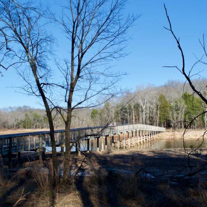 Near Couchville Lake