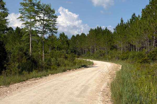 Car Body Road