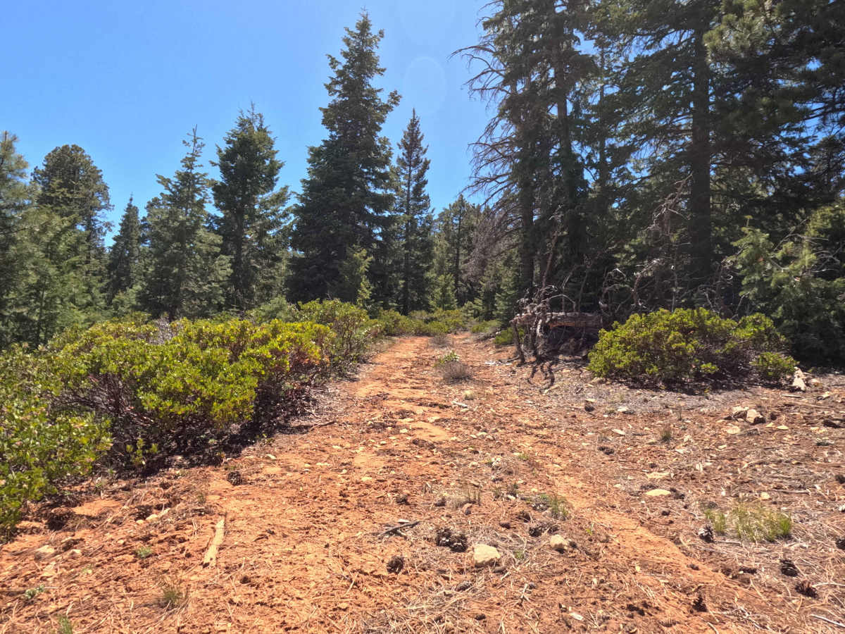FS 31214 trail photo