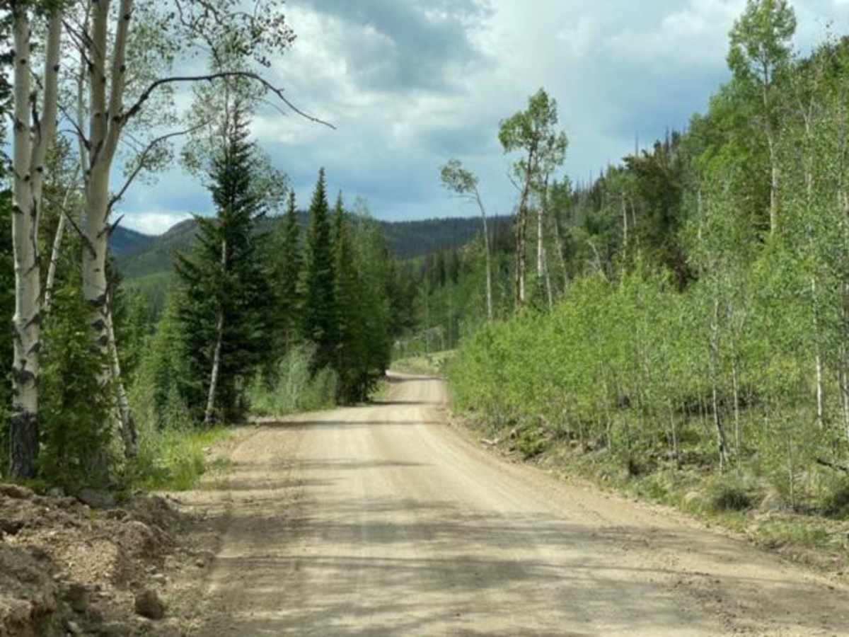 Historic Bachelor Loop Fr 503 - 504 photo 2