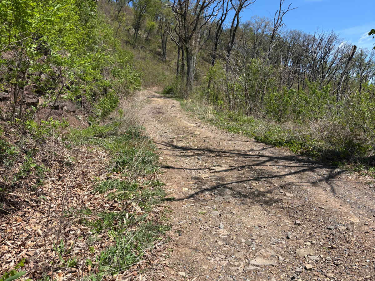Hite Hollow photo 3