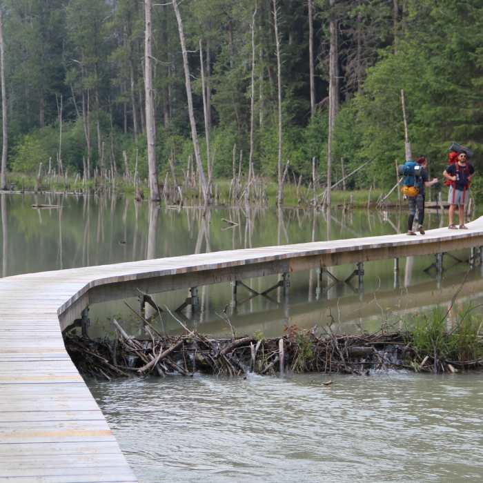 Near The Chilkoot Trail - Alaska Near The Chilkoot Trail - Alaska