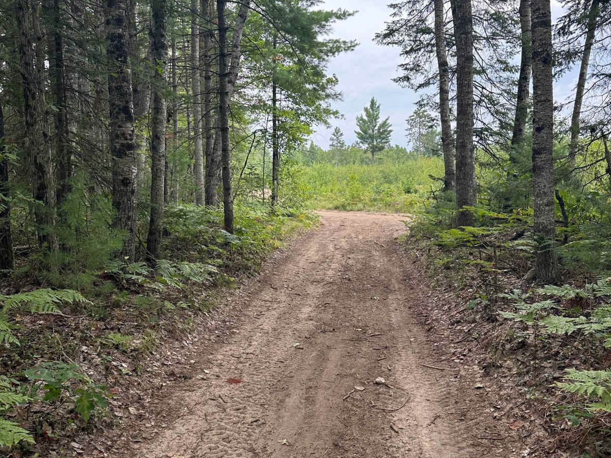 Wexford Drive trail photo