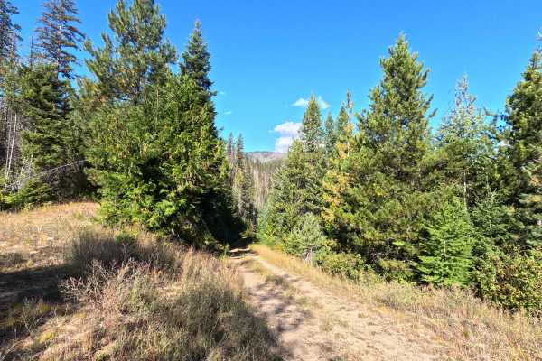 Klahowya Creek N - FS 1075N
