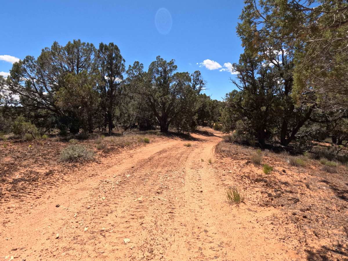 BLM 101N photo 4
