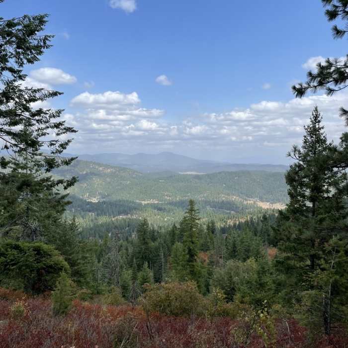 Near Antoine's and Canfield summit gulch