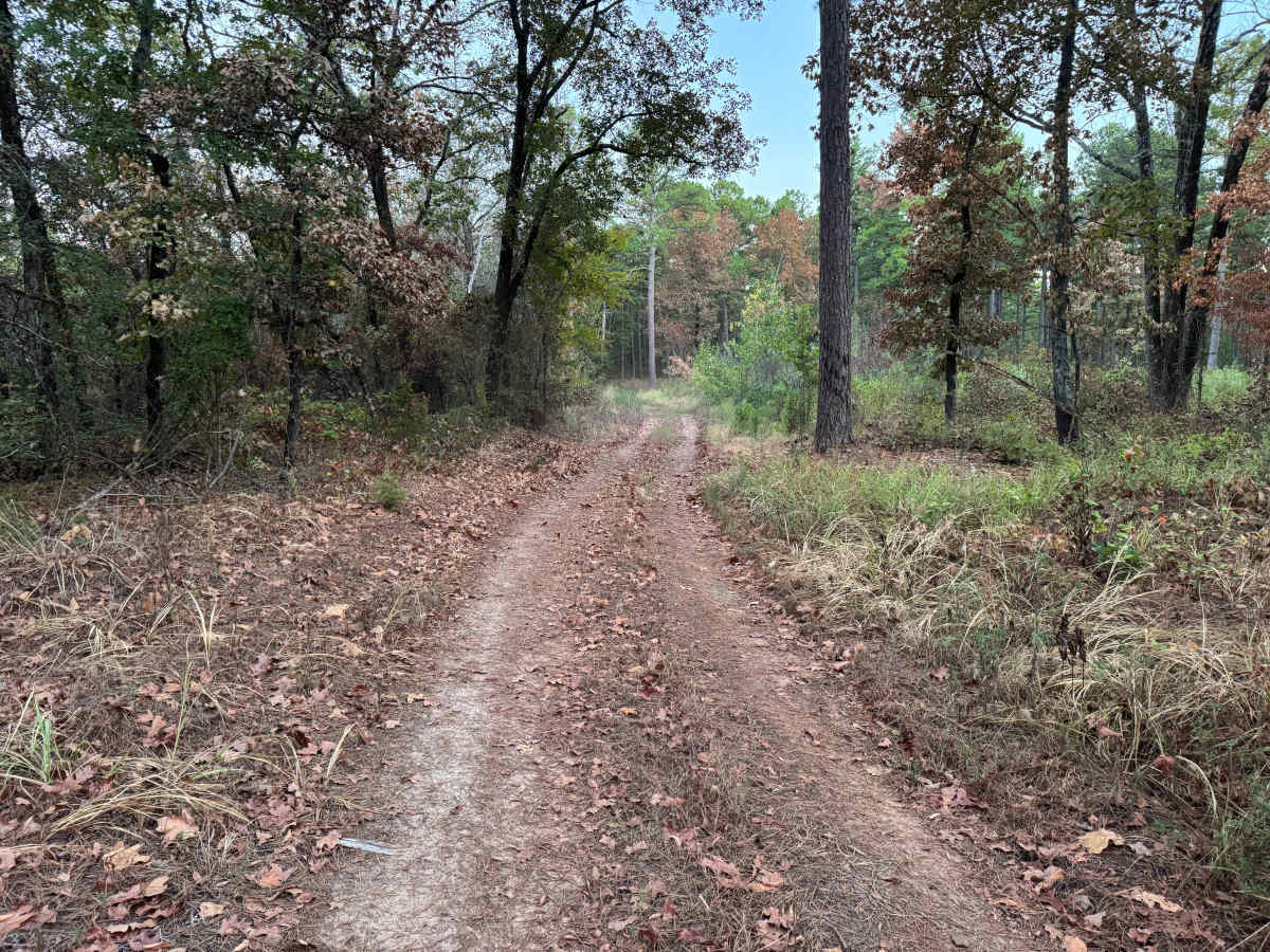 Calico Road photo 3