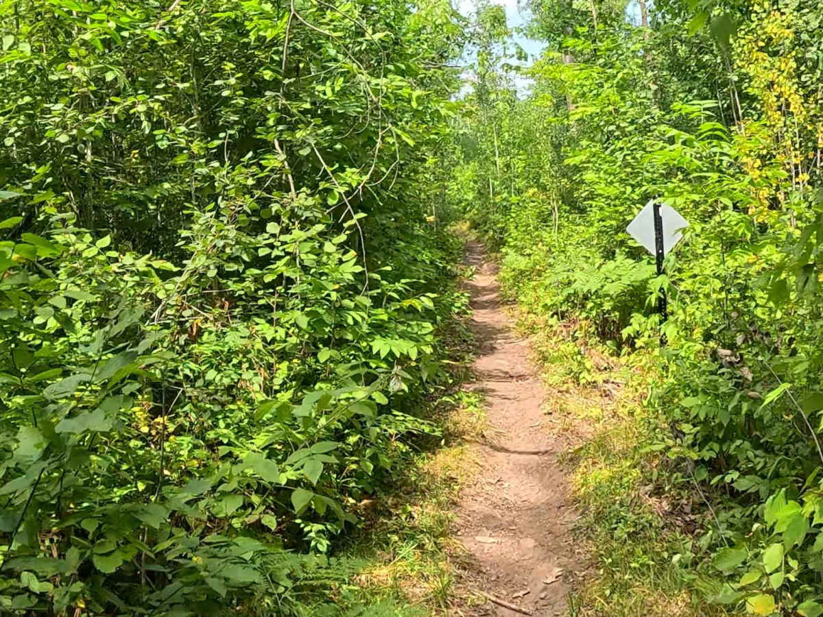 Greenwald Run trail photo