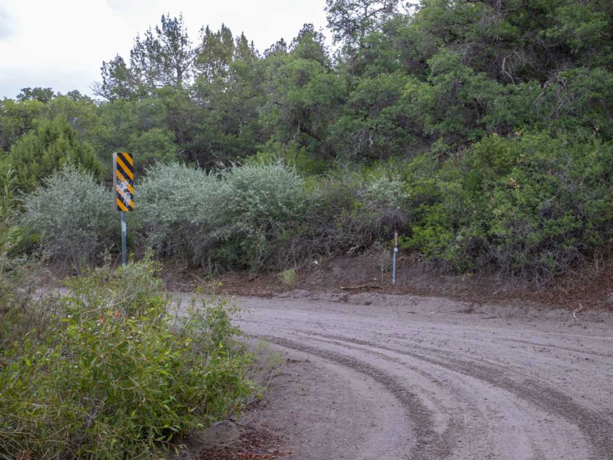 Rex's Reservoir to Lost Creek Road photo 4