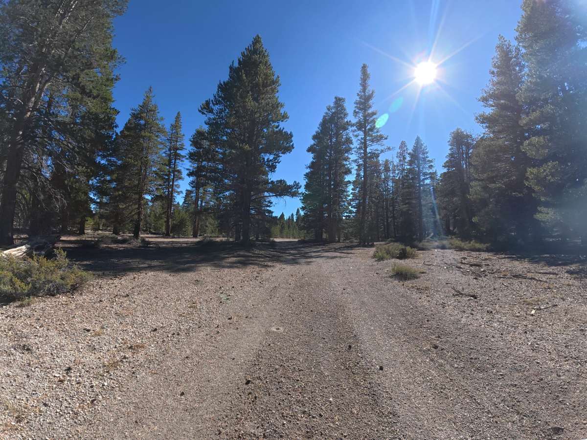 Little Sand Flat - FS 1S88 trail photo