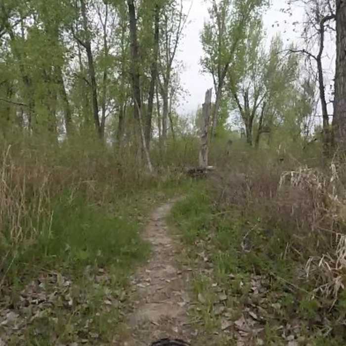 Near Lake Manawa State Park Trail