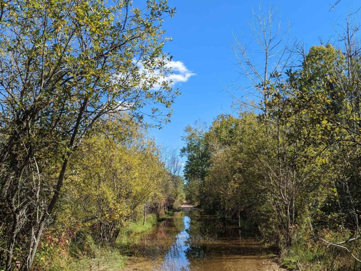 Marl Creek Road 765/760 photo 4