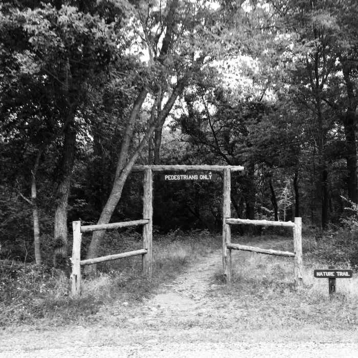 Armadillo Hill Trailhead is marked by this entry arch. Near Eisenhower State Park Loop