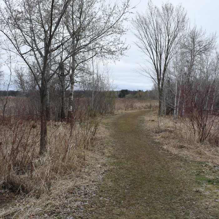 Near Coon Lake Regional Park Trail
