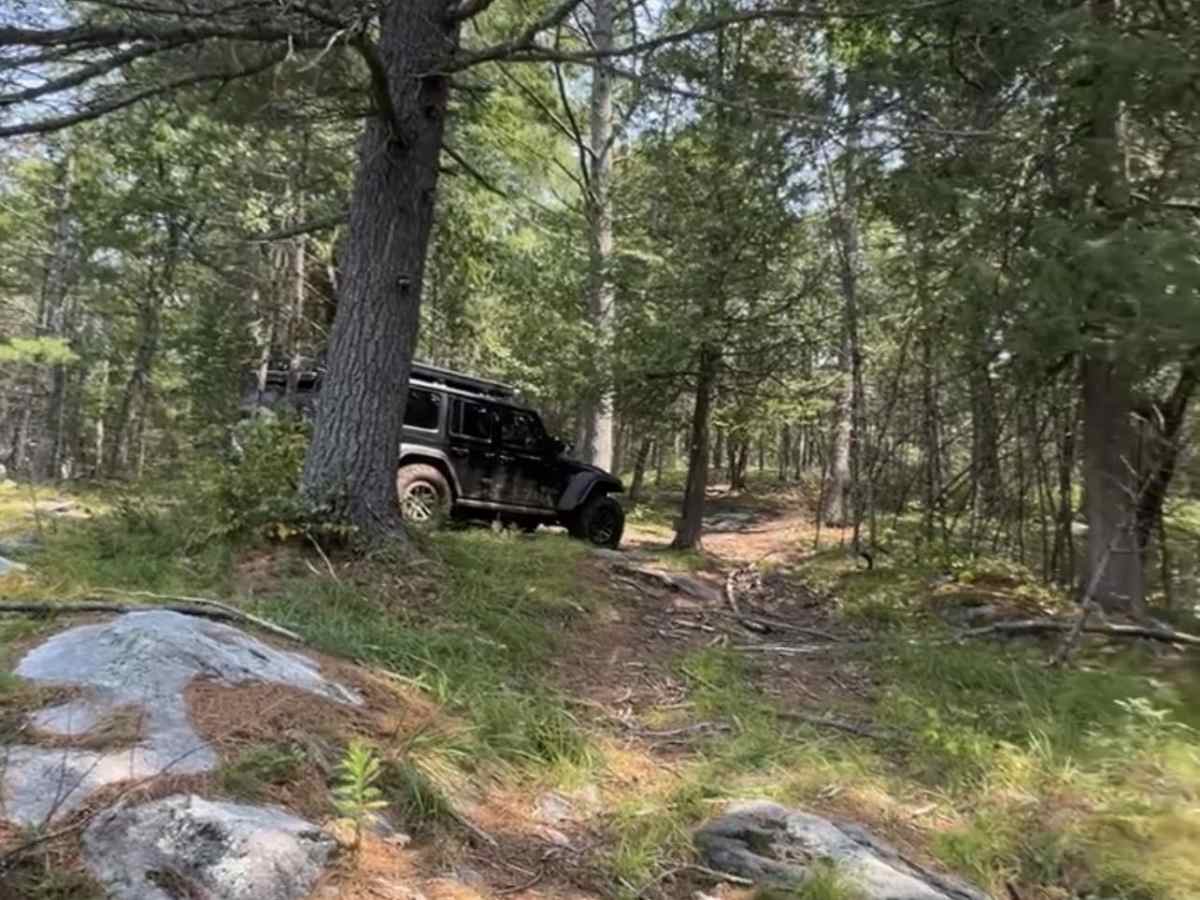 Havelock Belmont Trail photo 5
