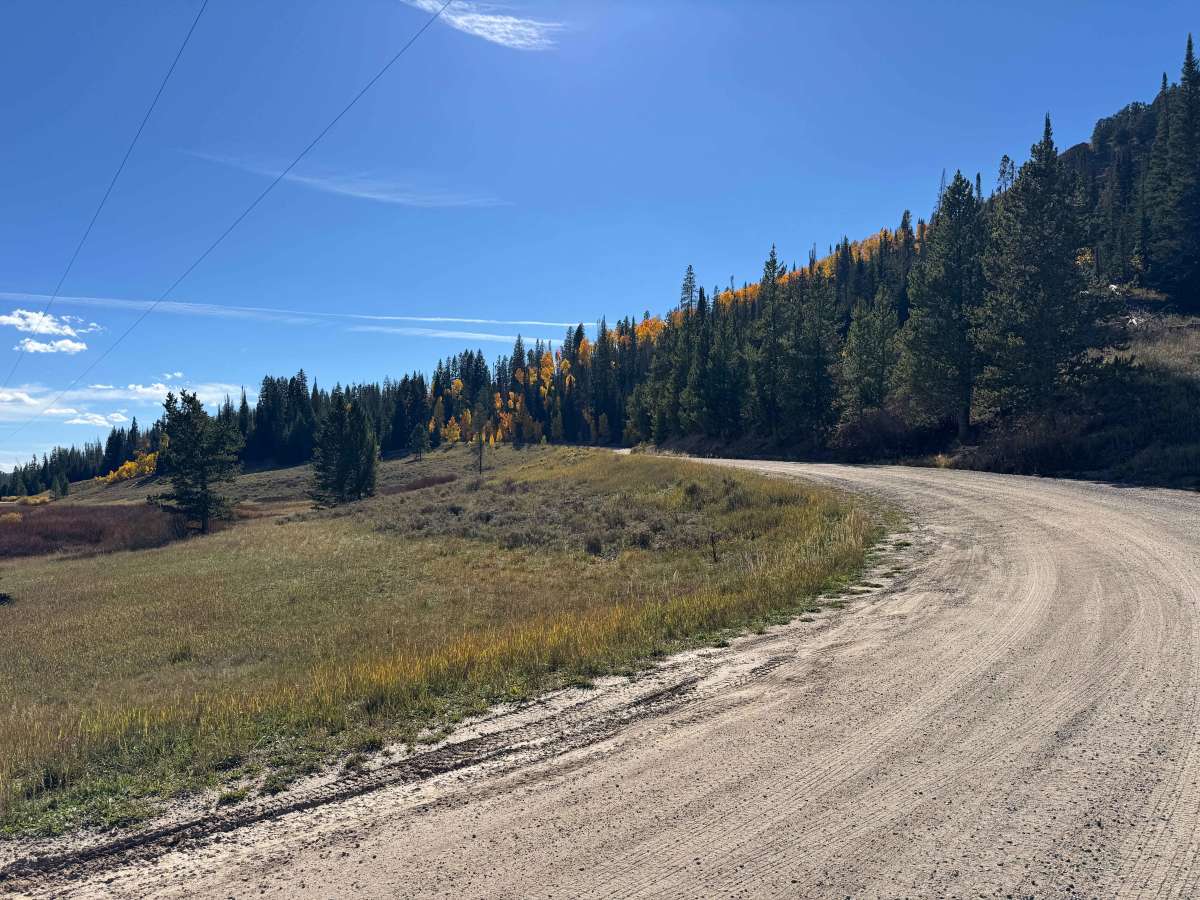 Hahns Peak Lake Campground Road photo 2