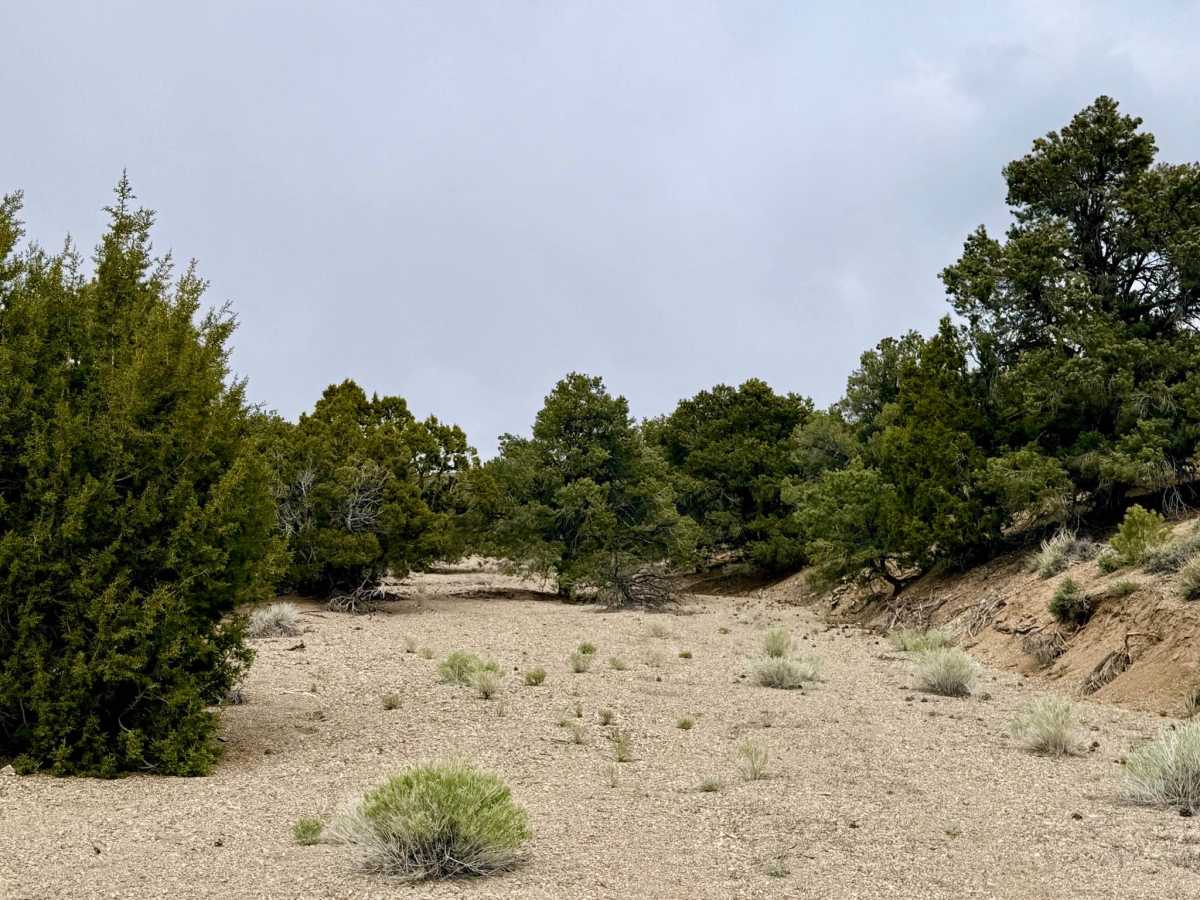 Cedar Corral - FS 44491 photo 3