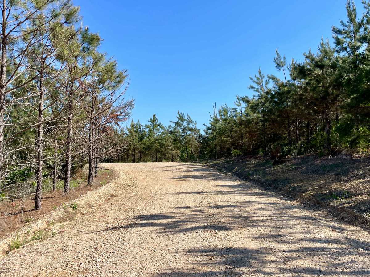 Copeland Ridge Road–Eagle Creek WMA photo 3