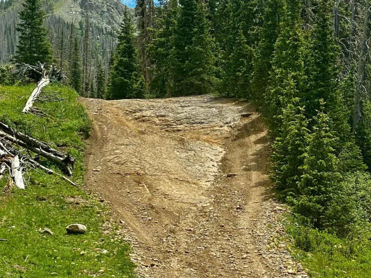 Upper Section of East Fork San Juan River Rd-Fr 667 photo 5