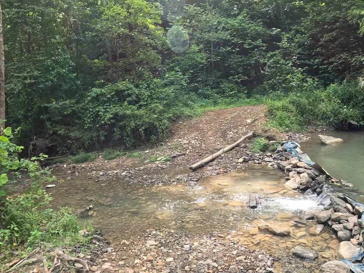 W6B trail photo