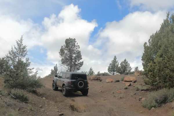 Alder Springs