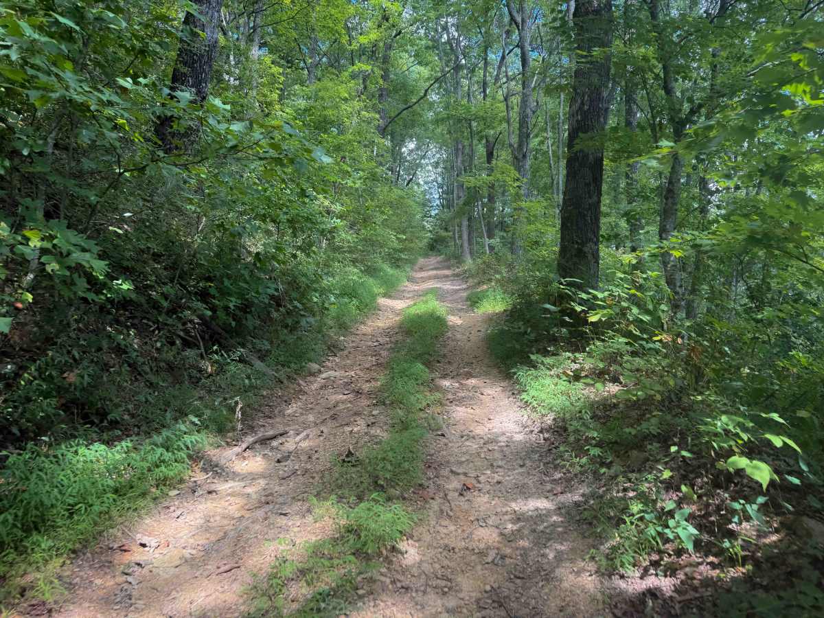 Tower Trail 30  photo 4