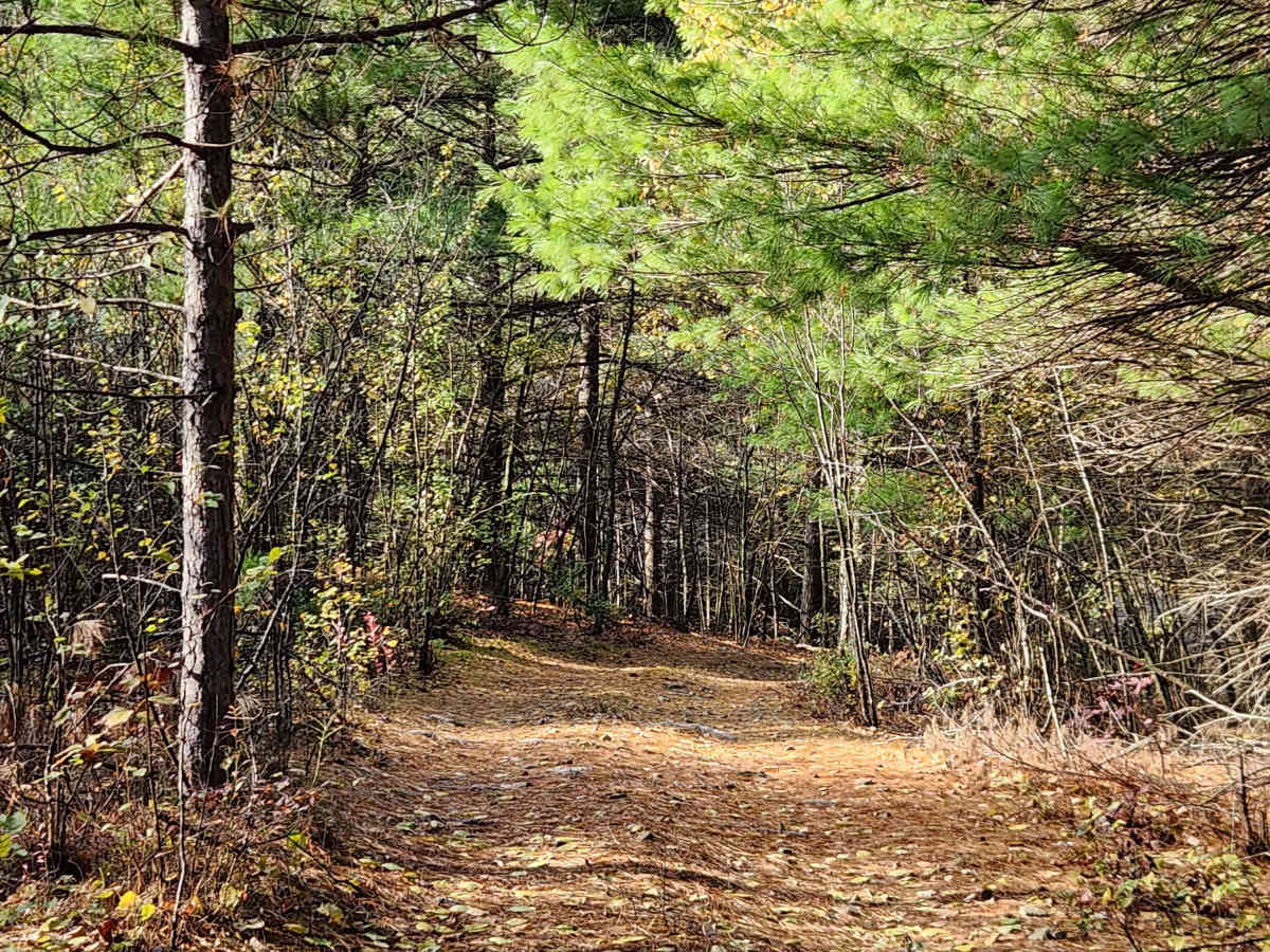 OHV 3 - Rock Run Recreation Area trail photo
