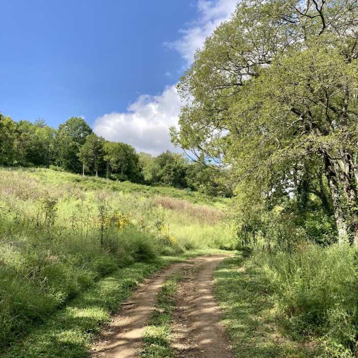 Near Black, Blue, Green, and Red Trails