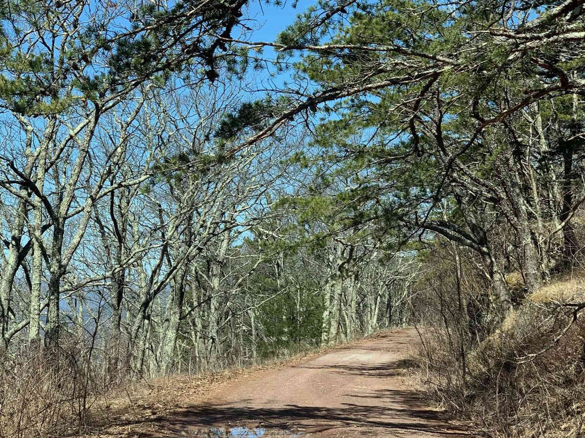 Reddish Knob trail photo