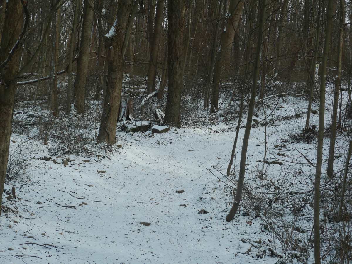 Trail 22 photo 4