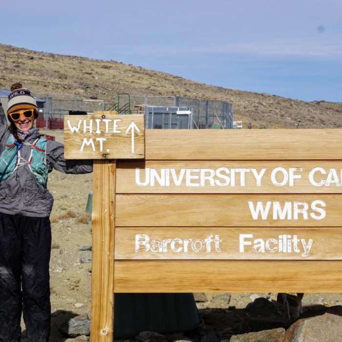 Near White Mountain Peak Trail