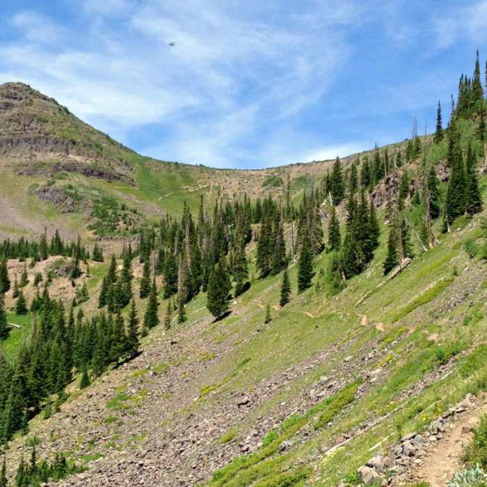 Near Devils Causeway