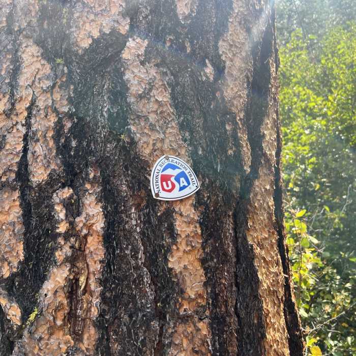 Near Mill Trailhead to Vee Lake