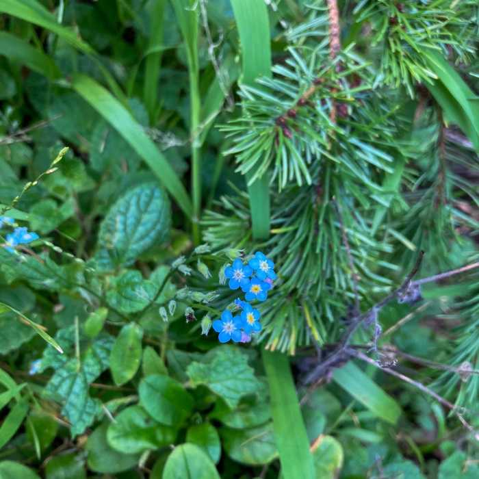 Near Mount Wittenberg via Horse Trail