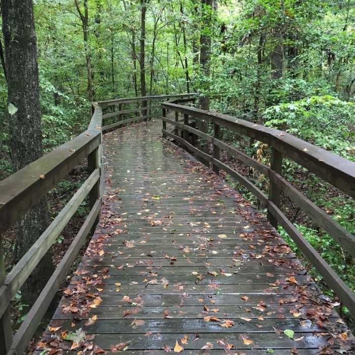 The start of the Boardwalk Trail on a wet fall day. Near Bluff Trail