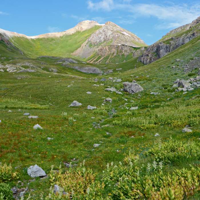 Near Columbine Lake Trail #509