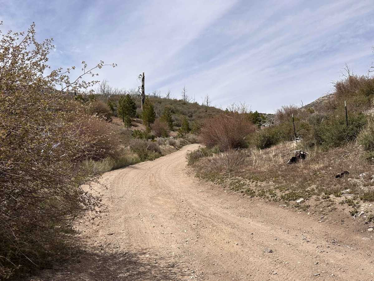 Saltbrush Trail trail photo