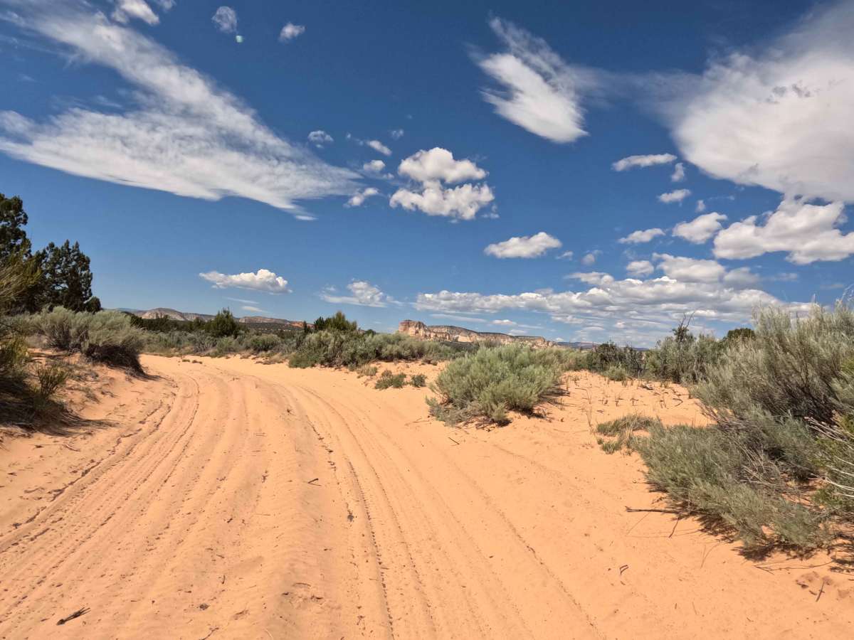 BLM 1013B photo 5