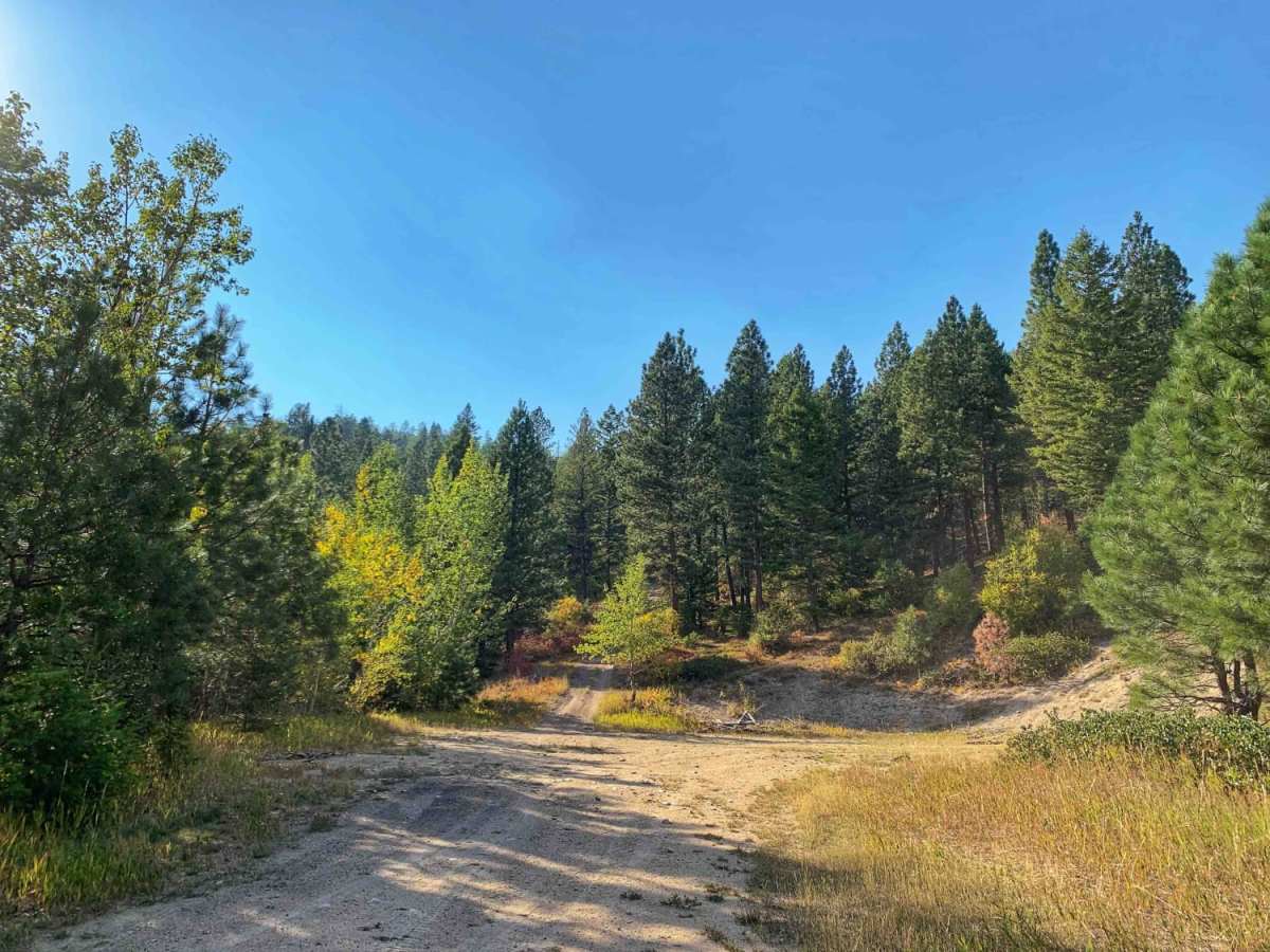 McCalla Switchbacks trail photo