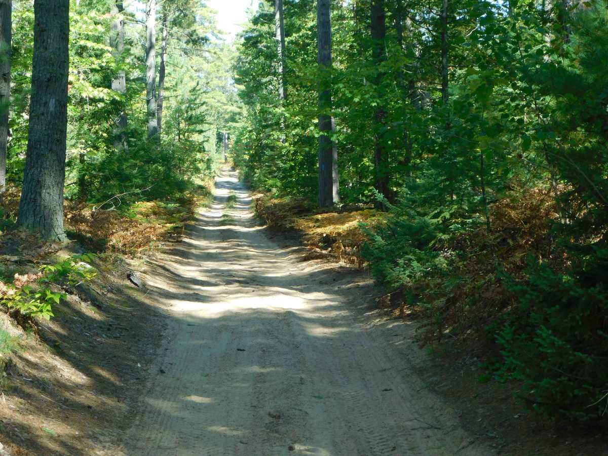 Culhane Grade Trail photo 6