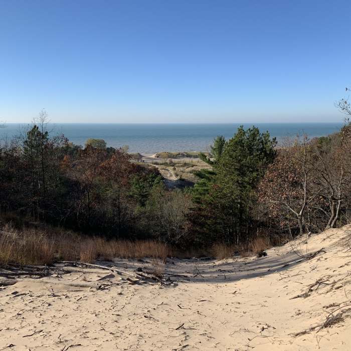 Looking down the dune toward Oval Beach. Near Water Tower - Lagoon - Mount Baldhead - Oval Beach