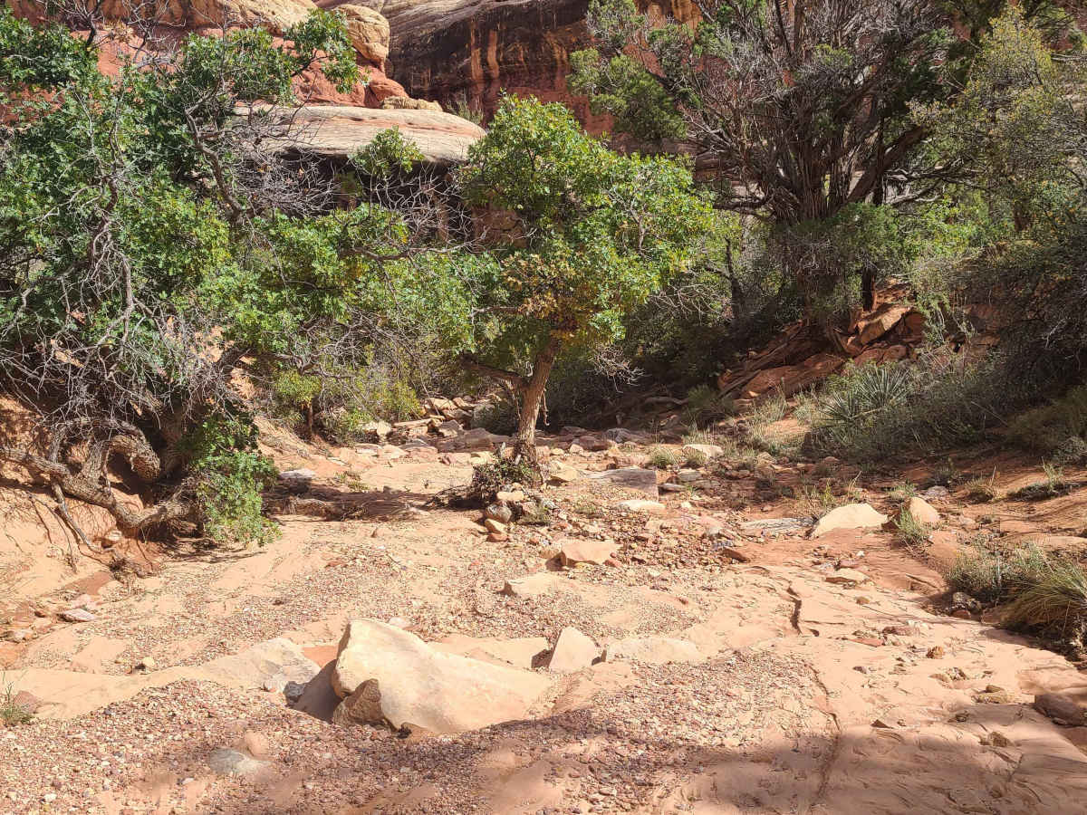 Salt & Horse Canyon photo 6