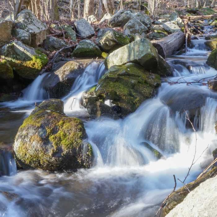 Near South River Falls