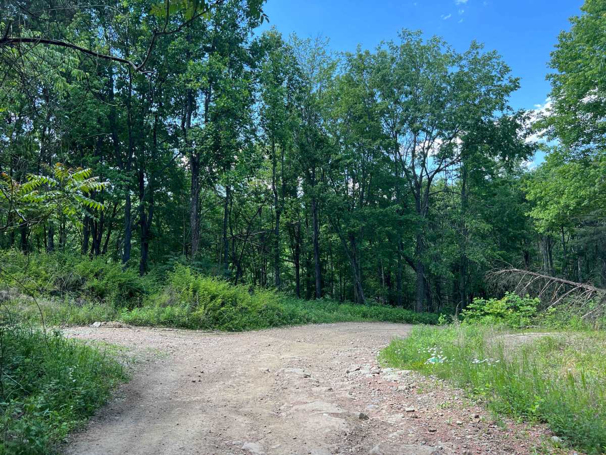 KC5 Five Mile Road photo 5