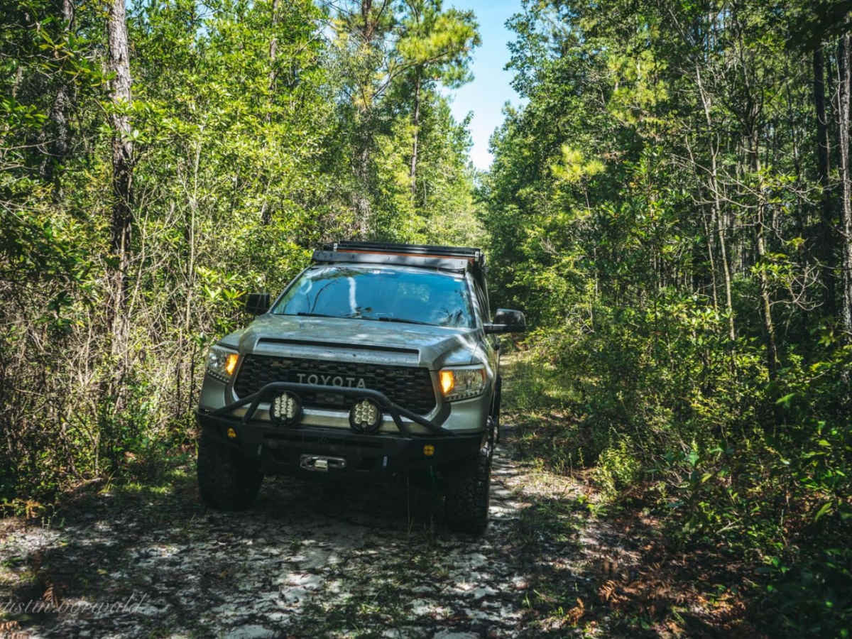 Catface Swamp Road - North photo 2