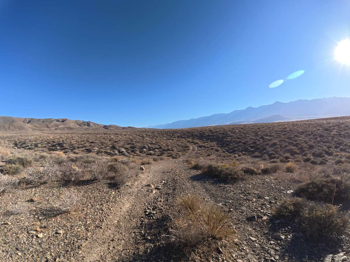FS 9S104 trail photo