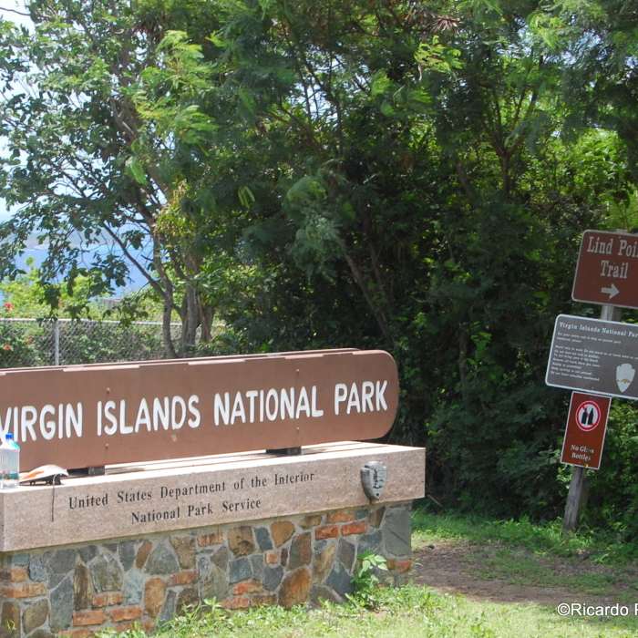 Near Lind Point Loop