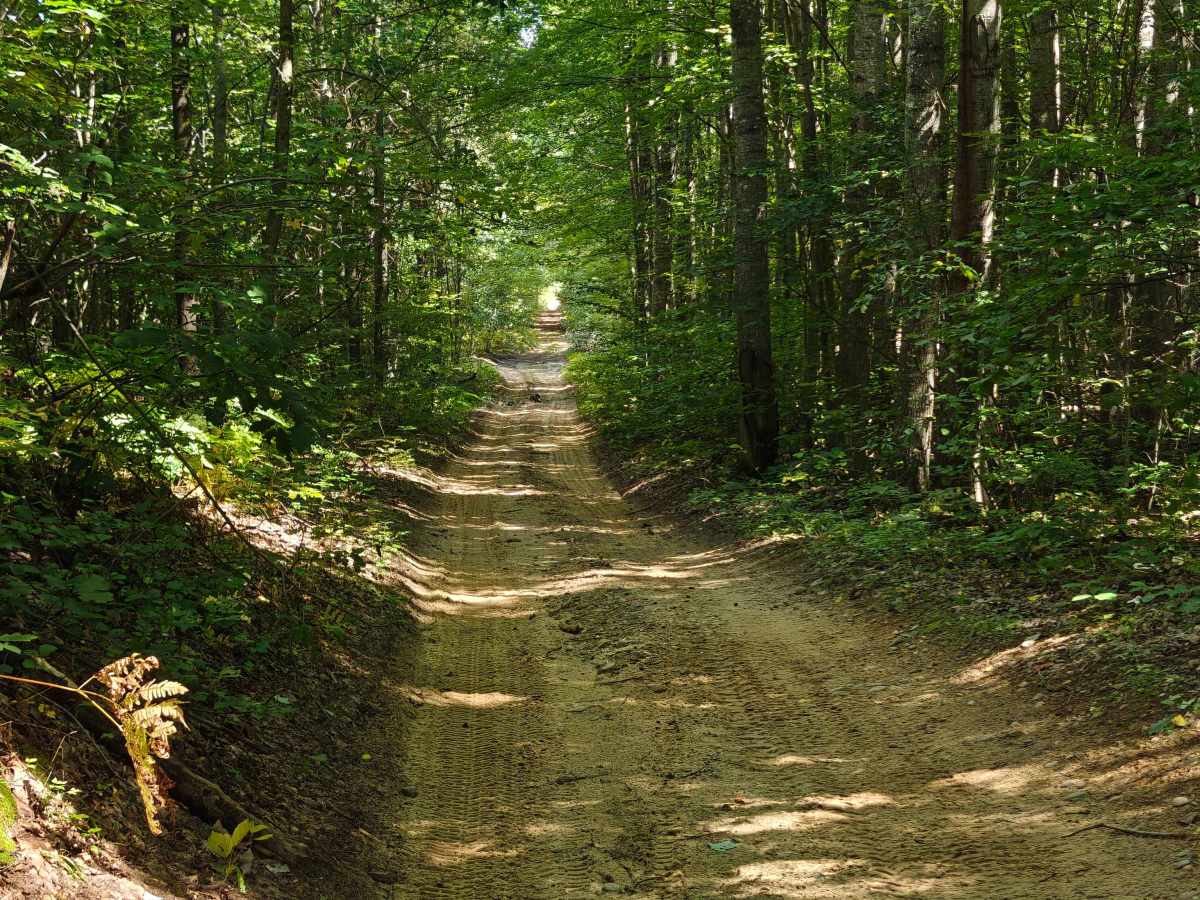 Timreck Track photo 3
