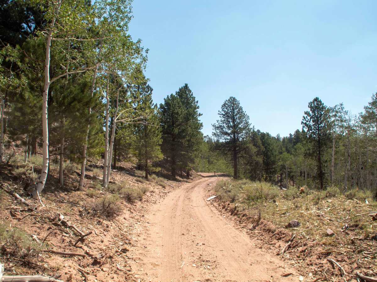 Limekiln - FS 10123 trail photo